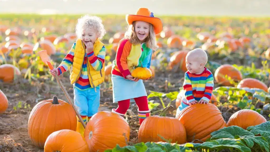 reputable adoption ageancies, open adoption near me, families looing to adopt a child