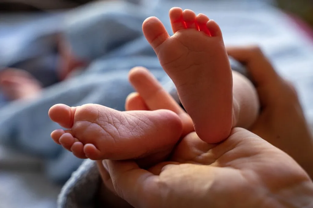adoption journey