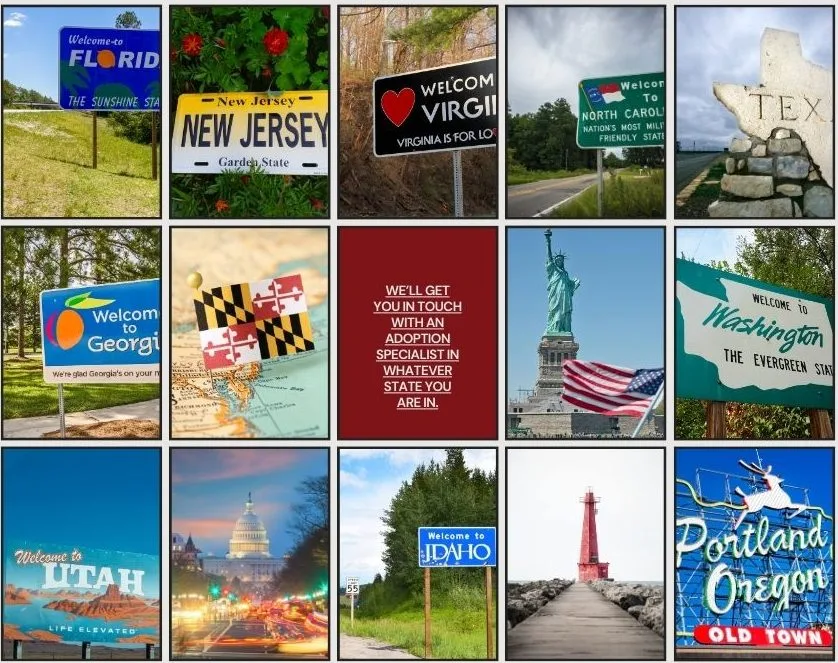 state laws