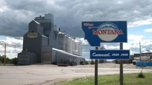 Montana Adoption