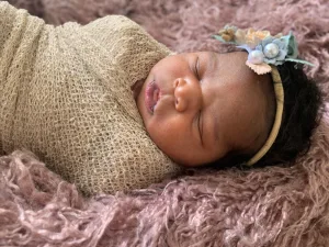 Florida adoption